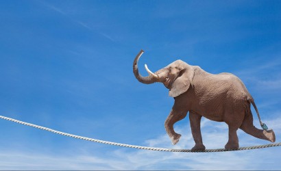 Maximize fiber utilization with high capacity DWDM transponders