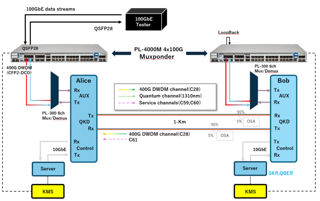 Multiplexed QKD System in Sapporo