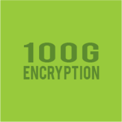 Encryption over 100G DWDM Coherent Wavelength