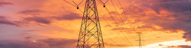 DWDM Solutions for Utilities